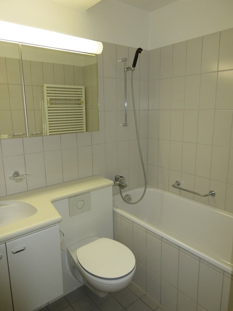 Helle 3-Zimmer-Wohnung mit Balkon in Oetwil am See (7)