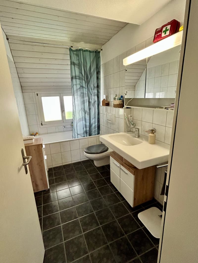 Charmante Dachwohnung in Hinwil (9)