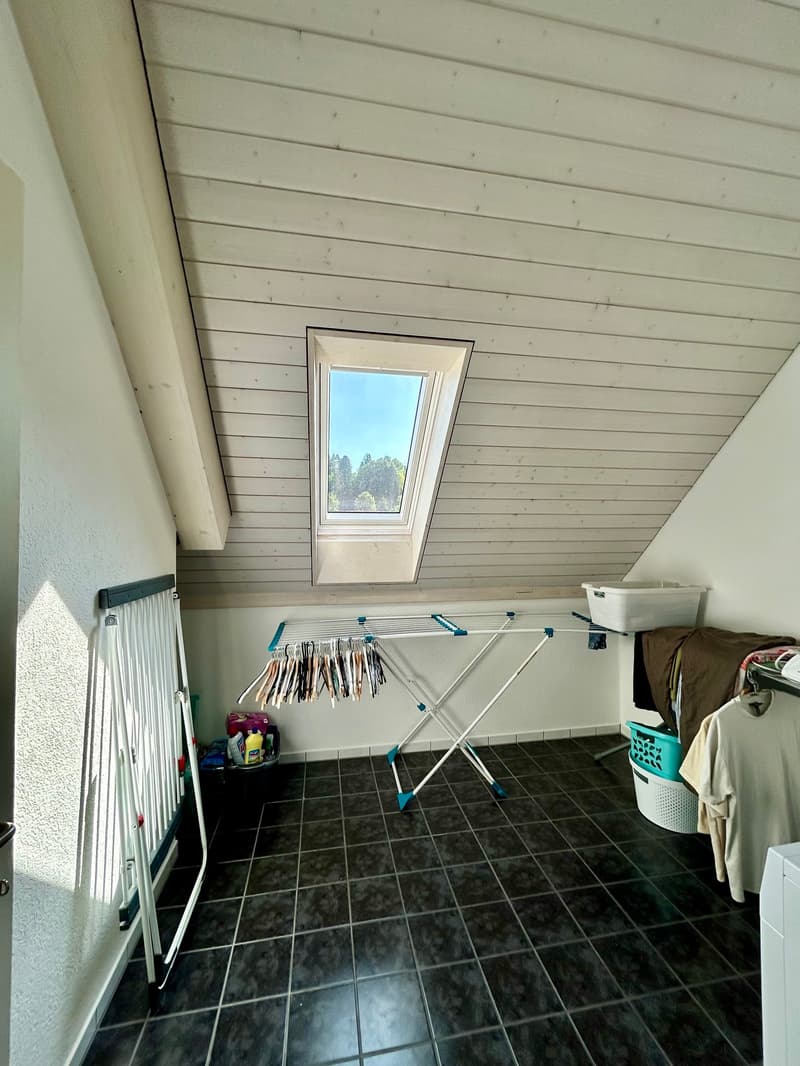 Charmante Dachwohnung in Hinwil (8)