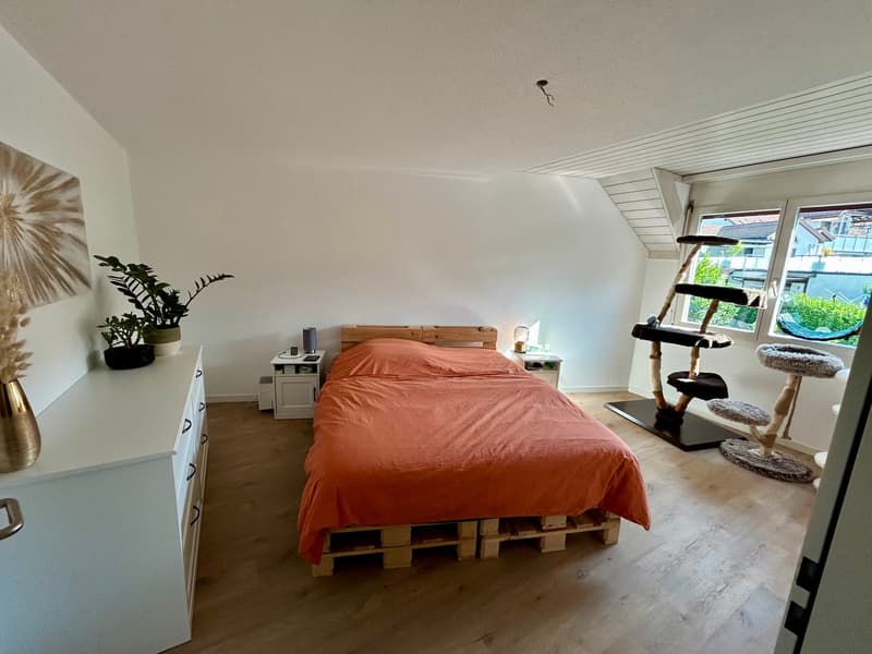 Charmante Dachwohnung in Hinwil (6)