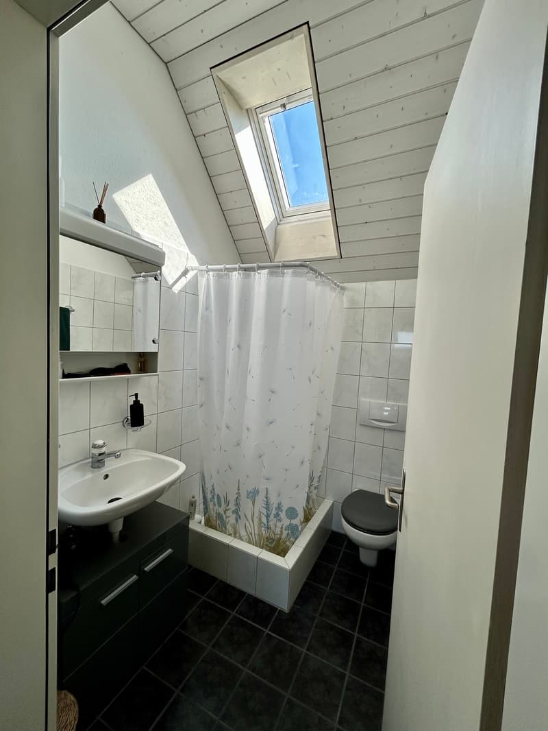 Charmante Dachwohnung in Hinwil (7)