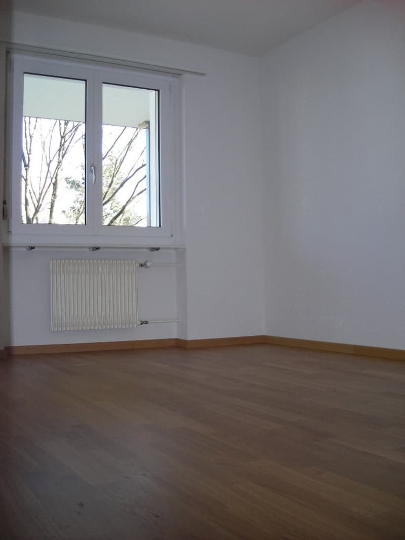Praktische 2-Zimmer-Wohnung mit Balkon in Hinwil, gut gelegen (4)