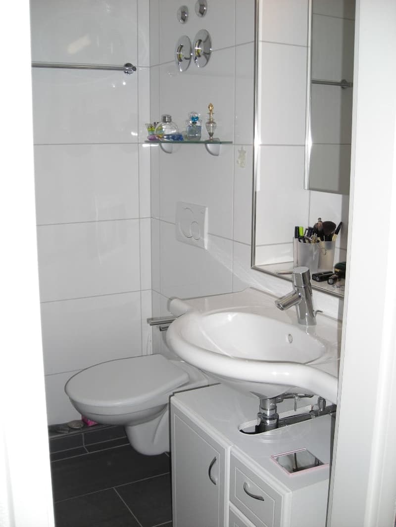 Praktische 2-Zimmer-Wohnung mit Balkon in Hinwil, gut gelegen (6)
