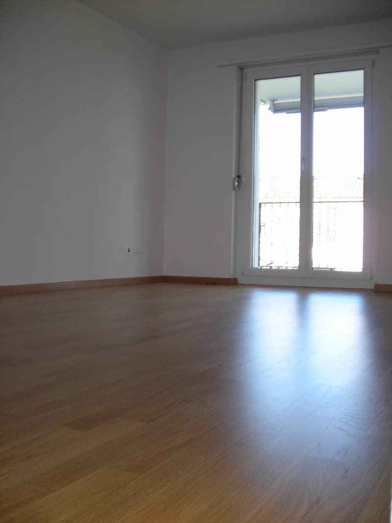 Praktische 2-Zimmer-Wohnung mit Balkon in Hinwil, gut gelegen (5)