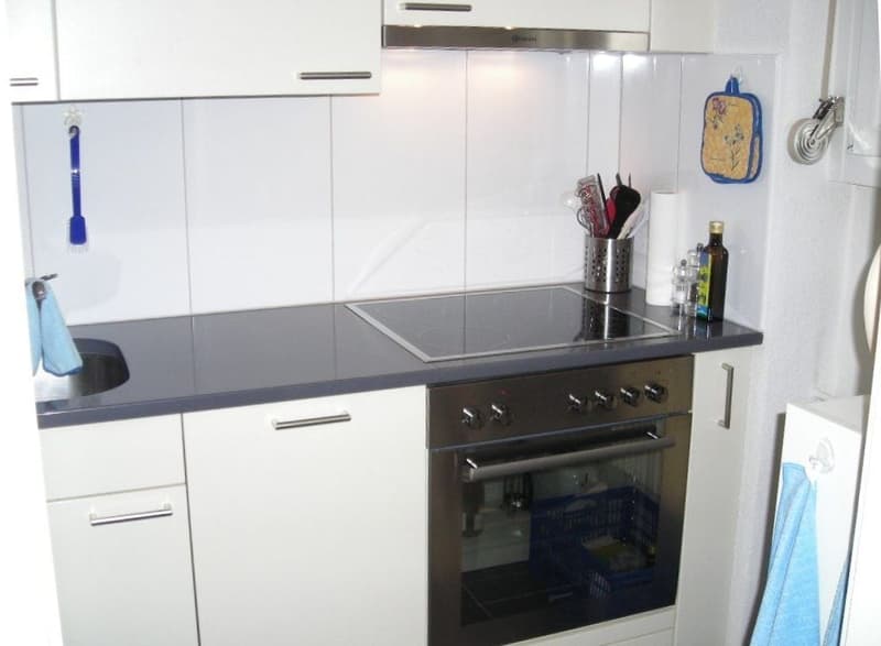 Praktische 2-Zimmer-Wohnung mit Balkon in Hinwil, gut gelegen (3)