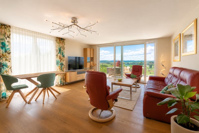 Exklusive Attikawohnung mit Panoramaterrasse und Seesicht (5)