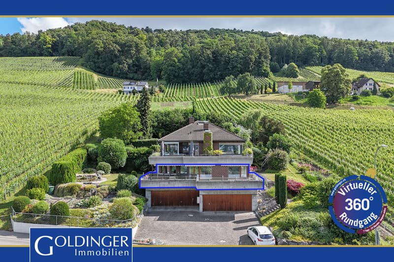 Sonnenverwöhnte Terrassenwohnung zwischen Rebbergen und Weitblick (1)
