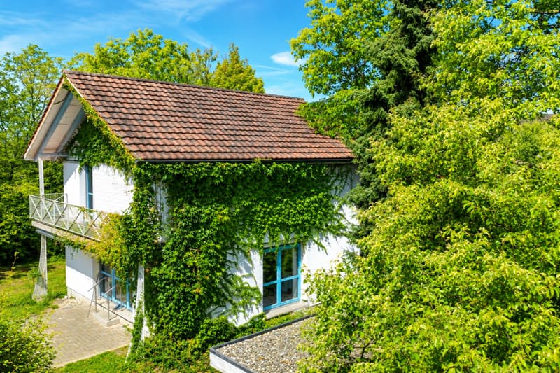 Kleines Unikat auf grosszügigem Grundstück (5)