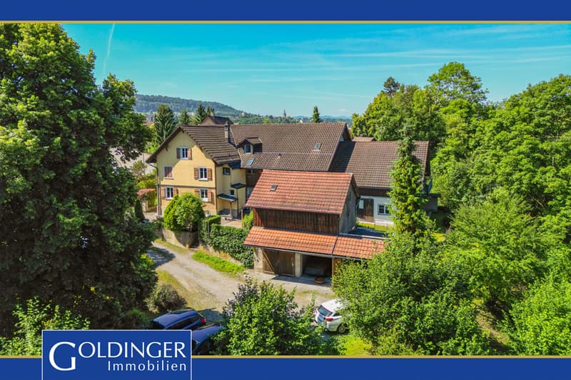 Mehrfamilienhaus mit Potenzial (1)