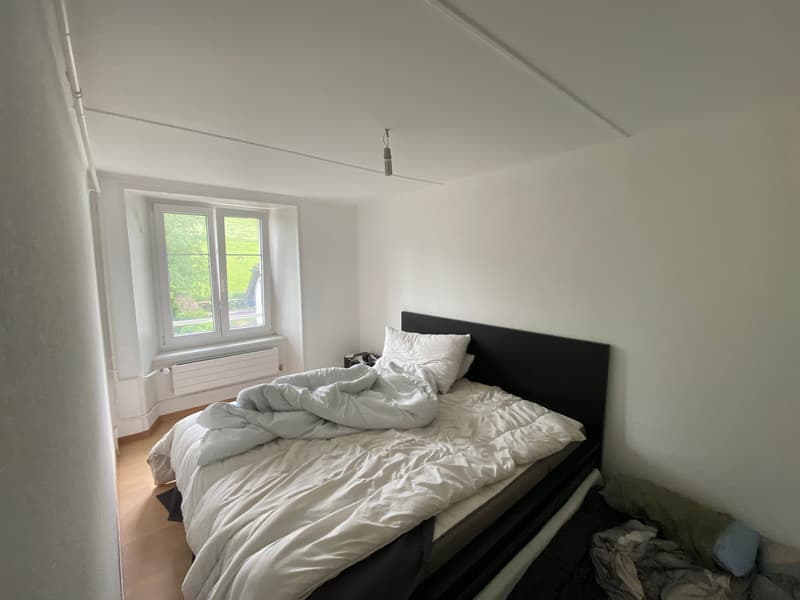 Maison locative de 5 appartements avec jardin et garages (5)