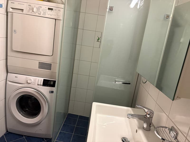 A bathroom with a washing machine and dryer stacked on top of each other, a sink, and a shower area.