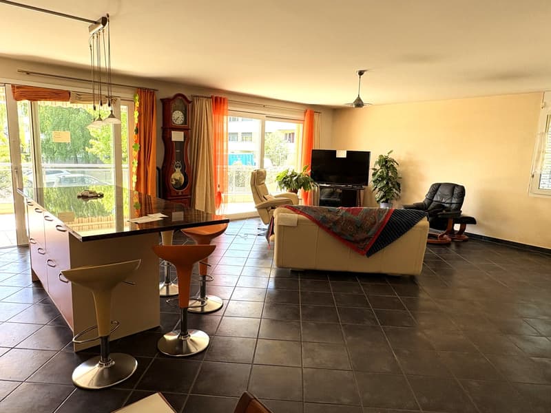 Open plan living room and kitchen, large windows, balcony, modern furniture, large kitchen island, dining area, living area with sofa and armchairs, TV, plants