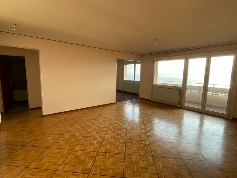 Appartement de 3,5 pcs avec vue imprenable sur le lac et les Alpes (1)