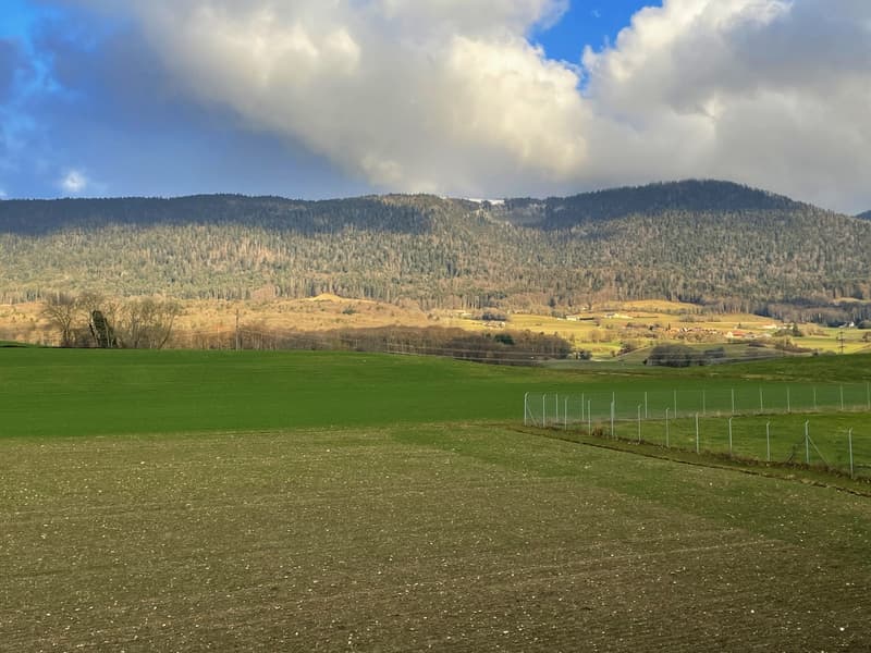 Appartement de 3,5 pcs avec vue imprenable sur le lac et les Alpes (6)