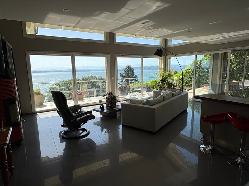 Splendide maison contemporaine (4)
