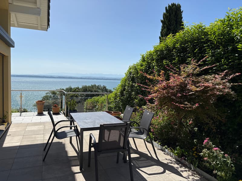 Splendide maison contemporaine (7)