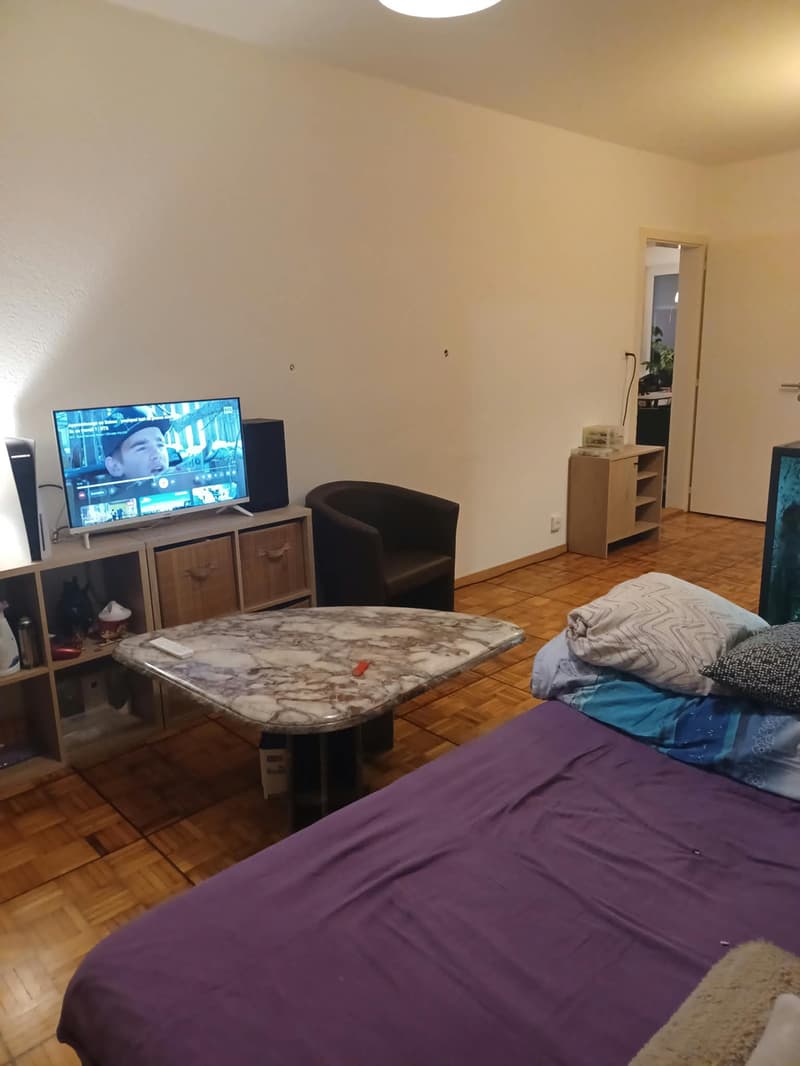 Charmant appartement de 3.5 pièces à Fribourg (3)