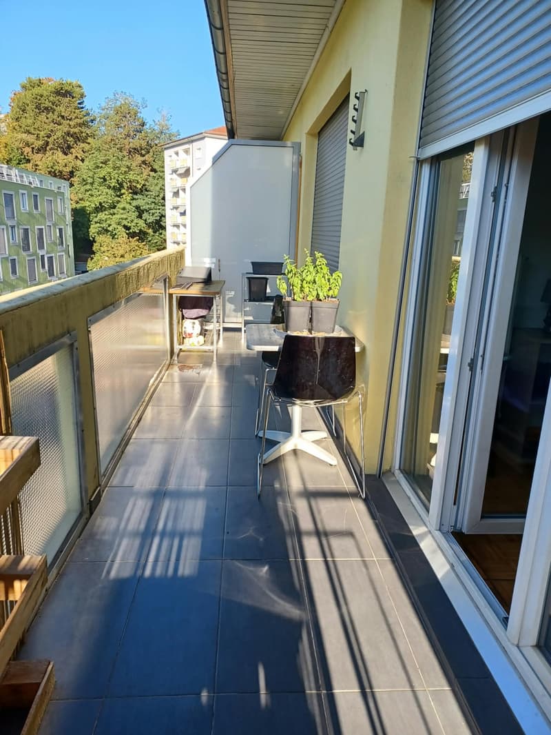 Charmant appartement de 3.5 pièces à Fribourg (8)
