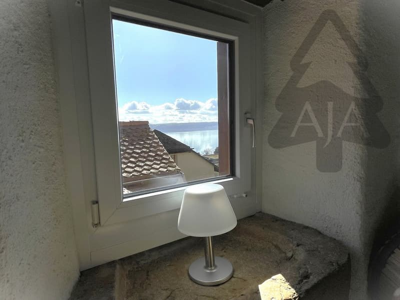 St-Aubin-Sauges, spacieux appartement de 4,5 pièces (121 m2) avec jardin privatif (53 m2), garage (6)