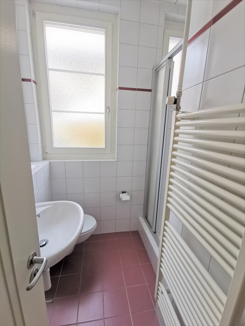 Bathroom with pink tiles, white sink, white toilet, and a glass shower enclosure.