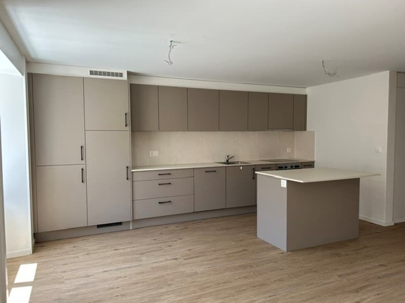 Appartement 3 pièces lumineux à louer au Pâquier NE (2)