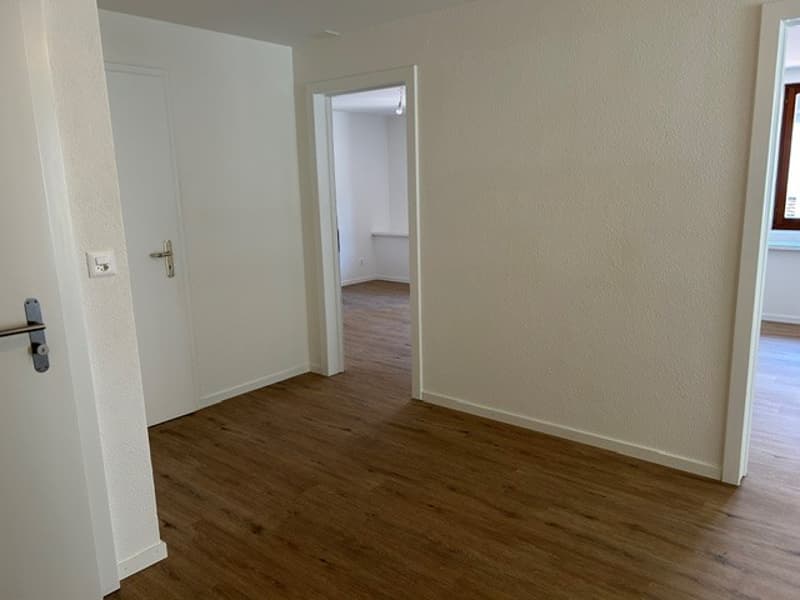 Appartement 3 pièces lumineux à louer au Pâquier NE (9)