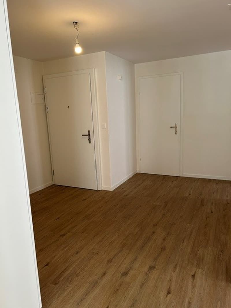 Appartement 3 pièces lumineux à louer au Pâquier NE (10)