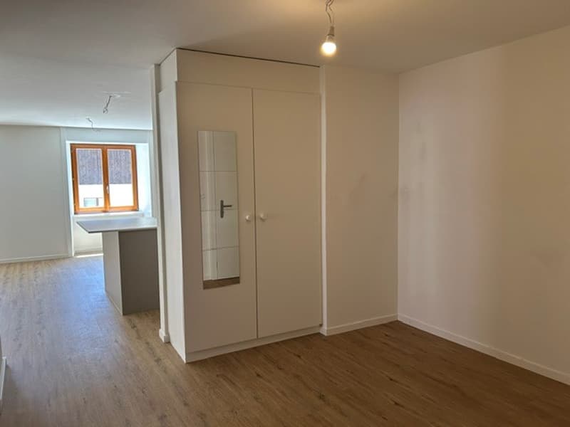 Appartement 3 pièces lumineux à louer au Pâquier NE (8)