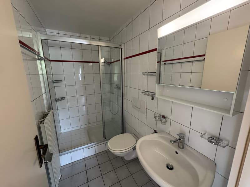 Appartement 4 pièces rénové avec vue panoramique – Les Hauts-Geneveys (10)