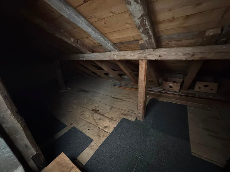 Lumineux appartement de 4.5 pièces à Les Hauts-Geneveys (14)