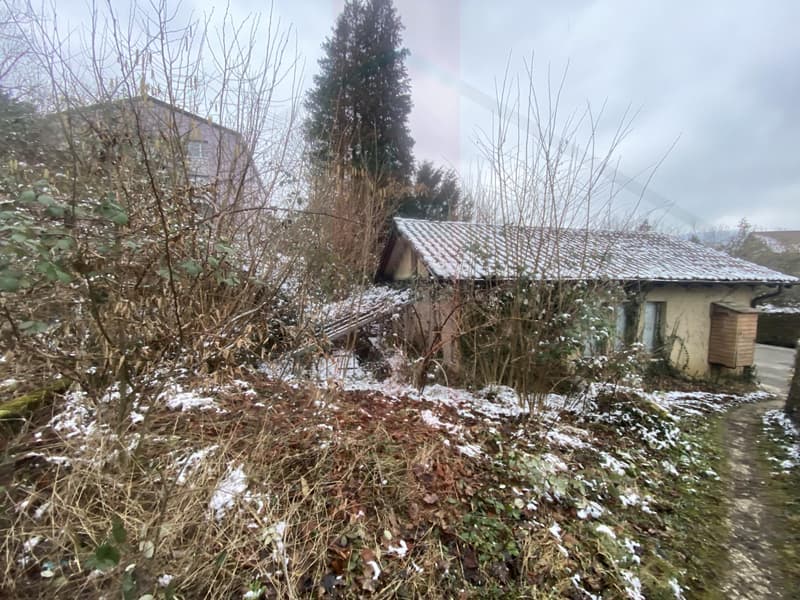 2854 Bassecourt