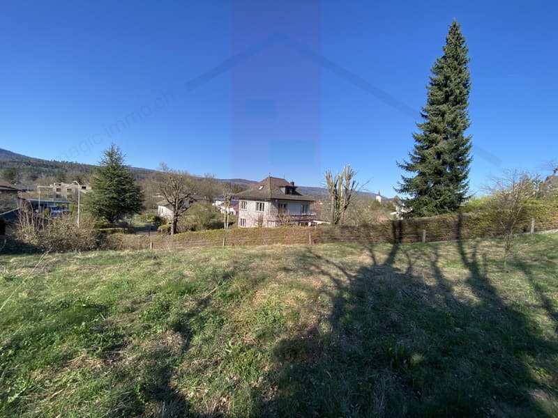 2854 Bassecourt