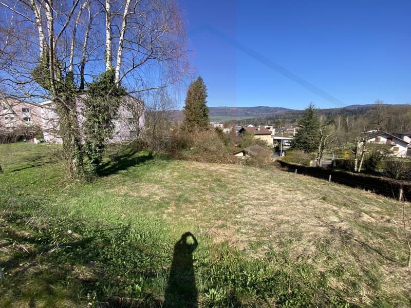 "Terrain à bâtir dans zone villa à Bassecourt"