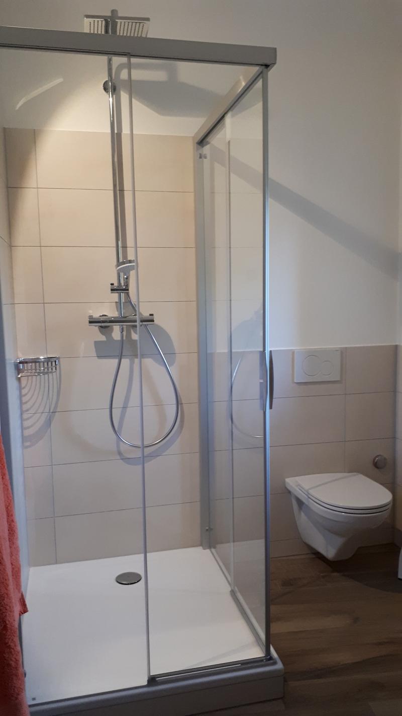 Appartement de 5.5 pièces, 164 m2, à Fenin - Salle de bain
