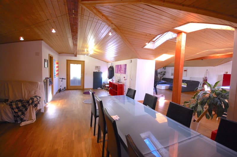 Magnifique maison de 2 grands et lumineux appartements. (13)