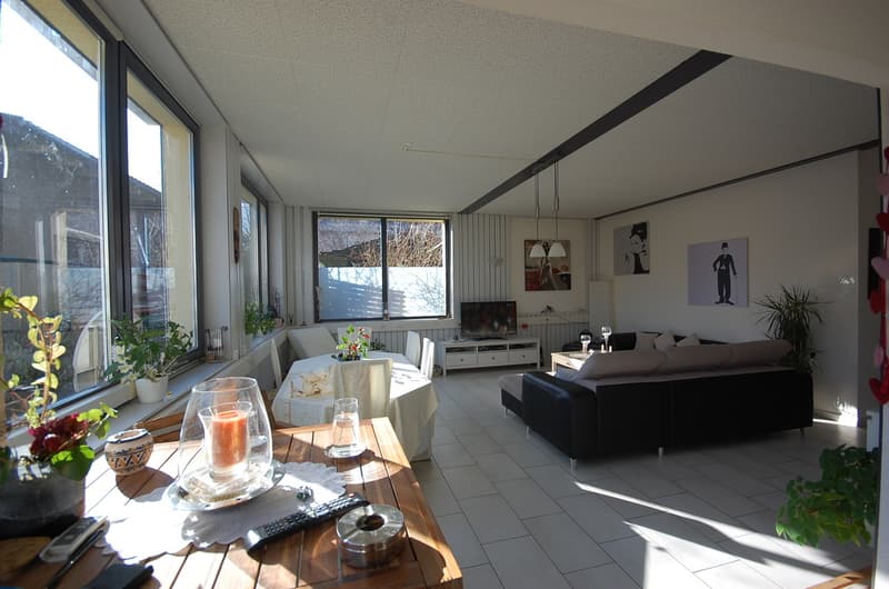 Magnifique maison de 2 grands et lumineux appartements. (5)