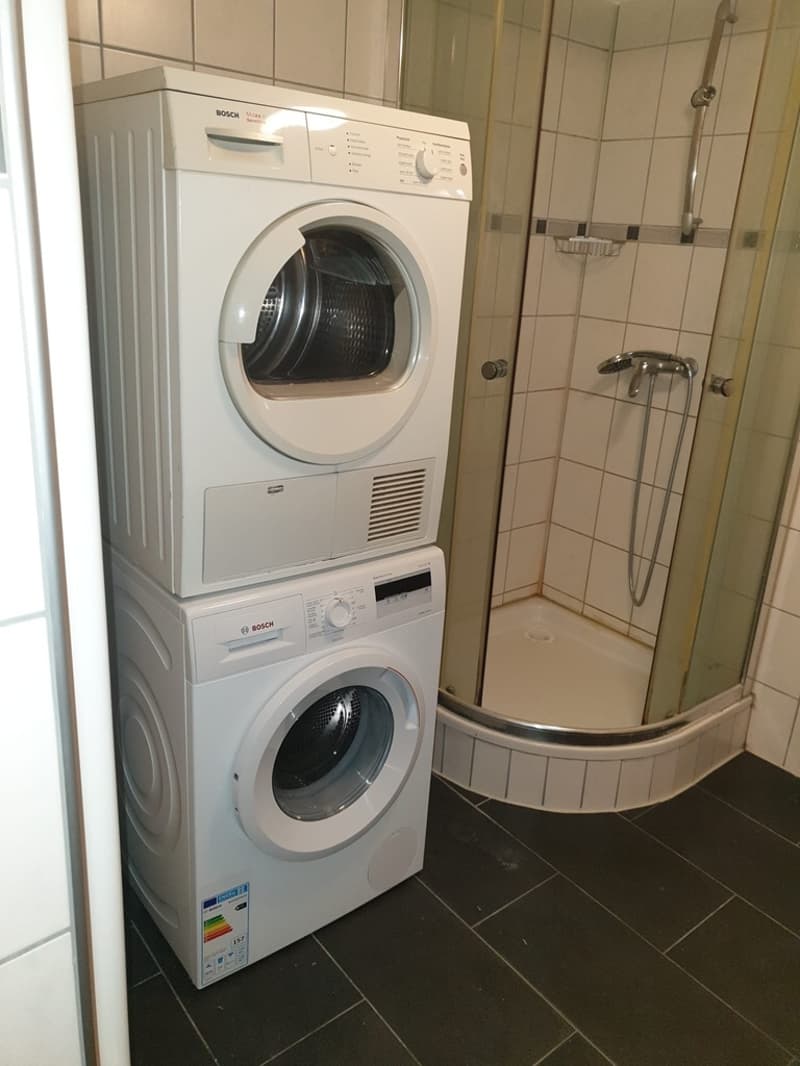 Immeuble de rendement - 7 appartements rénovés à Moutier (6)