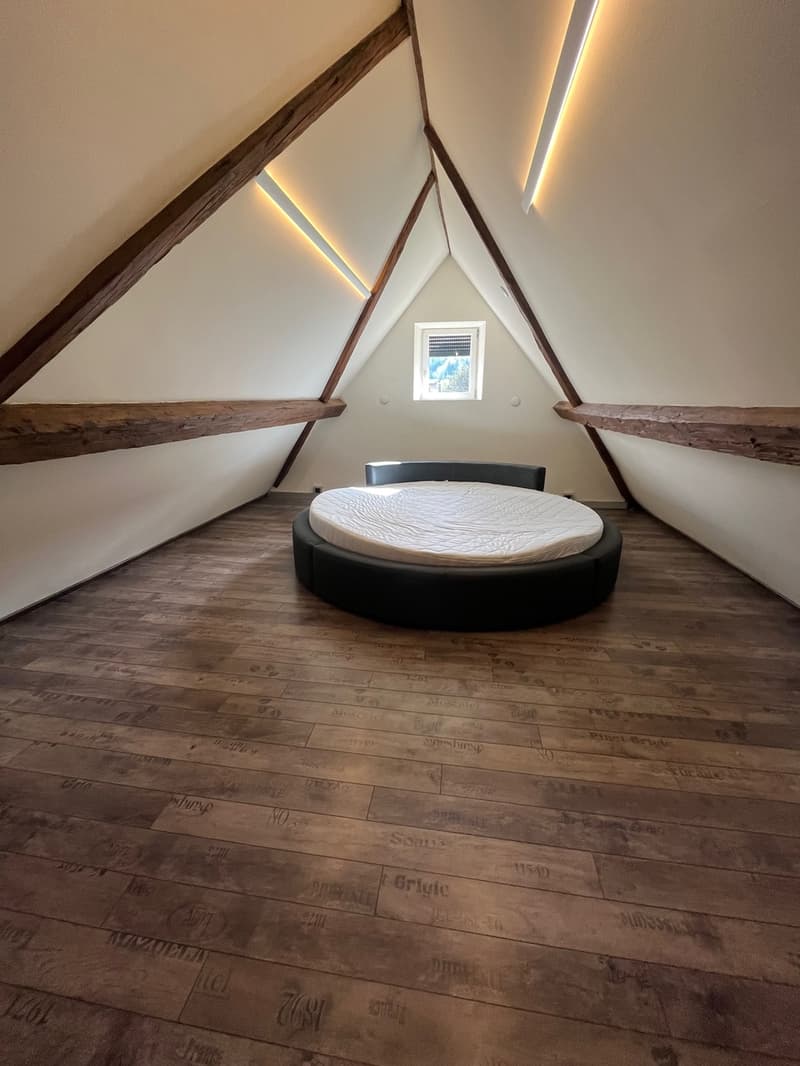 À VENDRE - Maison unique à Vermes avec spa, sauna et hammam (8)