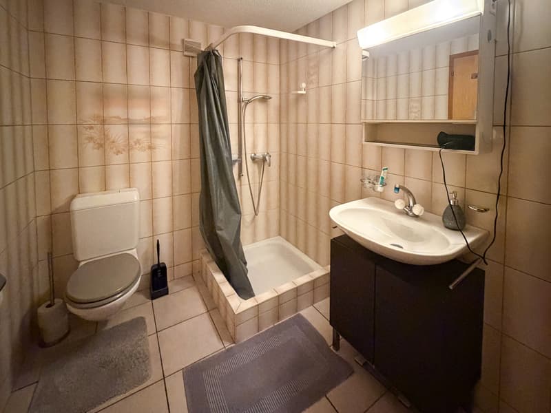 A vendre - Appartement en PPE à vendre 2,5 pièces avec place de parc. (9)
