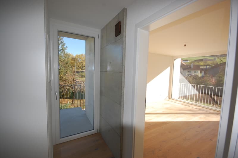 Superbe appartement de 4 pièces dans une ancienne ferme à Develier, disponible dès le 1er octobre. (13)