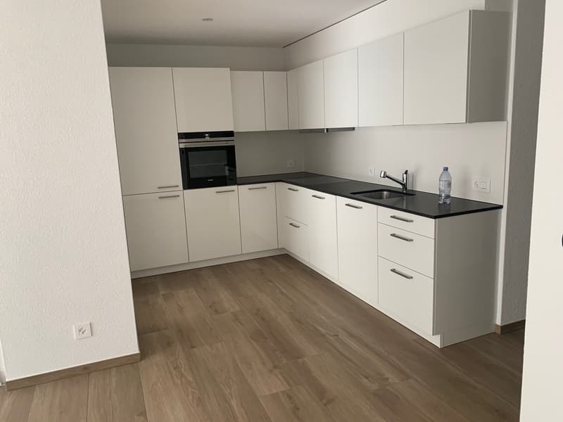 A louer - Magnifique appartement de 3.5 pièces avec parking souterrain (10)