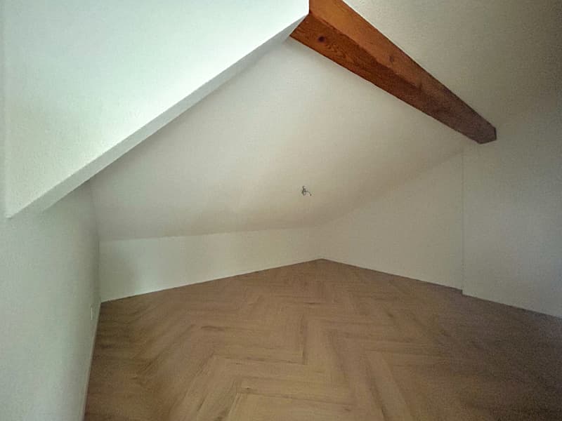 Spacieuse maison rénovée en 2025 avec dépendance à Vicques (13)