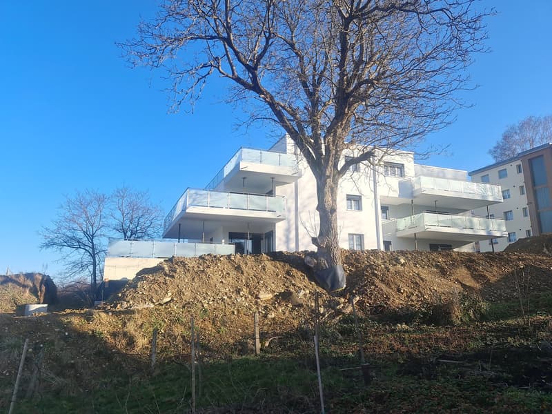 White building, modern architecture, glass balconies, multiple floors, surrounding trees