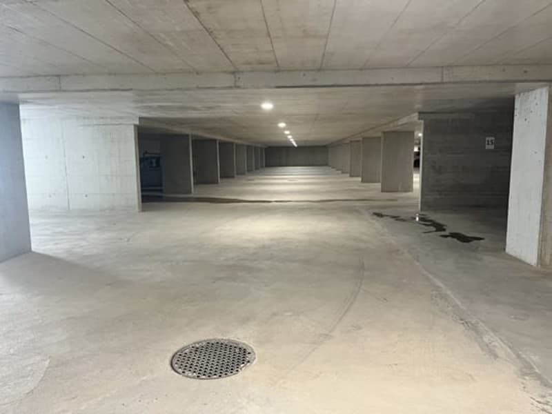 Magnifique appartement de 4,5 (22)