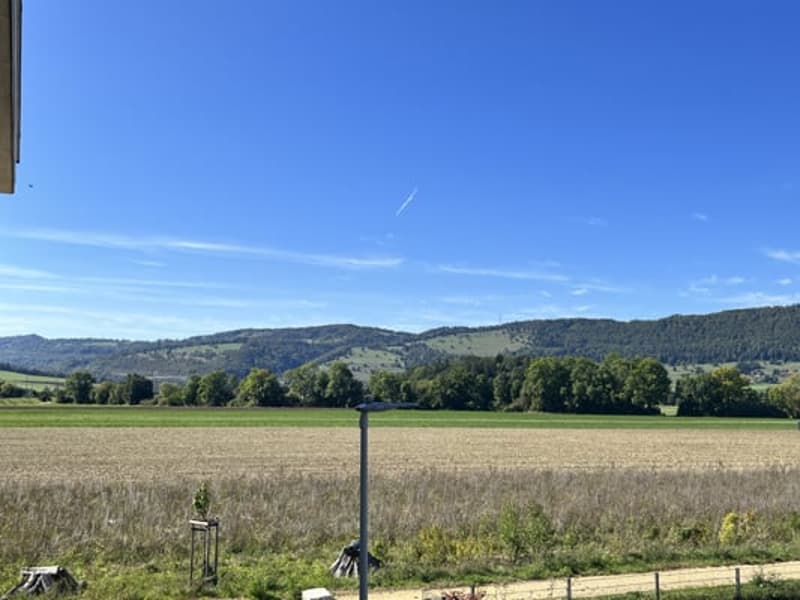FONDS PROPRES 10% - Magnifiques appartements neufs de 2,5, 3,5, 4,5 et 5,5 pièces (20)