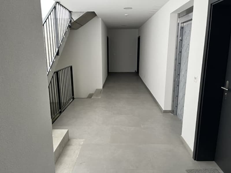 Magnifique appartement de 4,5 (7)