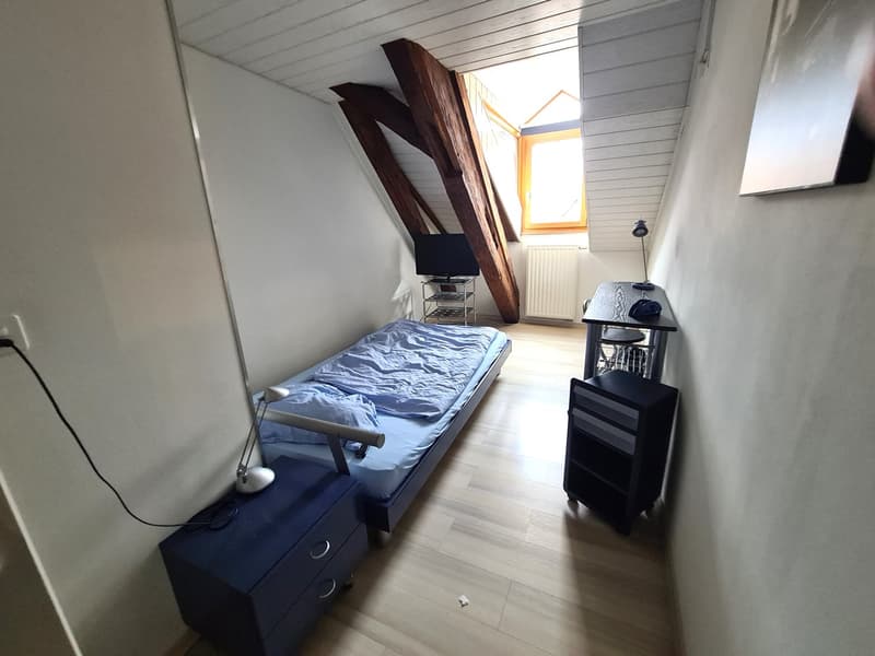 GROSSE PREISSENKUNG - ALBERGO/RESTAURANT MITICO E MOLTO FREQUENTATO A DELÉMONT (27)