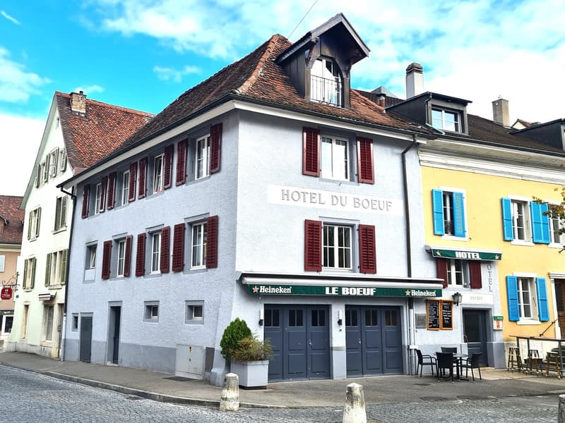 GROSSE PREISSENKUNG - ALBERGO/RESTAURANT MITICO E MOLTO FREQUENTATO A DELÉMONT (6)