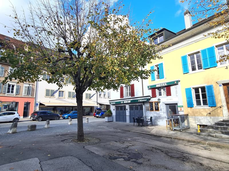 GROSSE PREISSENKUNG - ALBERGO/RESTAURANT MITICO E MOLTO FREQUENTATO A DELÉMONT (3)