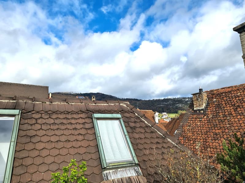 GROSSE PREISSENKUNG - ALBERGO/RESTAURANT MITICO E MOLTO FREQUENTATO A DELÉMONT (47)